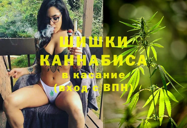 гидра Нязепетровск