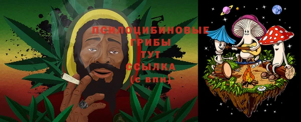 гидропоника Алзамай
