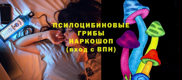 гидропоника Алзамай