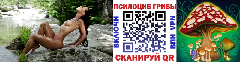 Галлюциногенные грибы прущие грибы  ОМГ ОМГ как войти  Любань  где купить наркоту 
